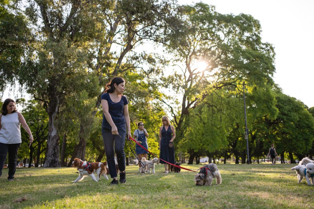 pet owner walking in a dog park to help strengthen her dog's joints