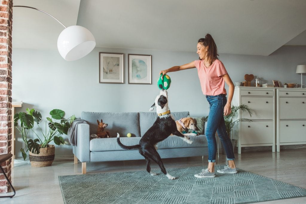 woman playing with her active dog