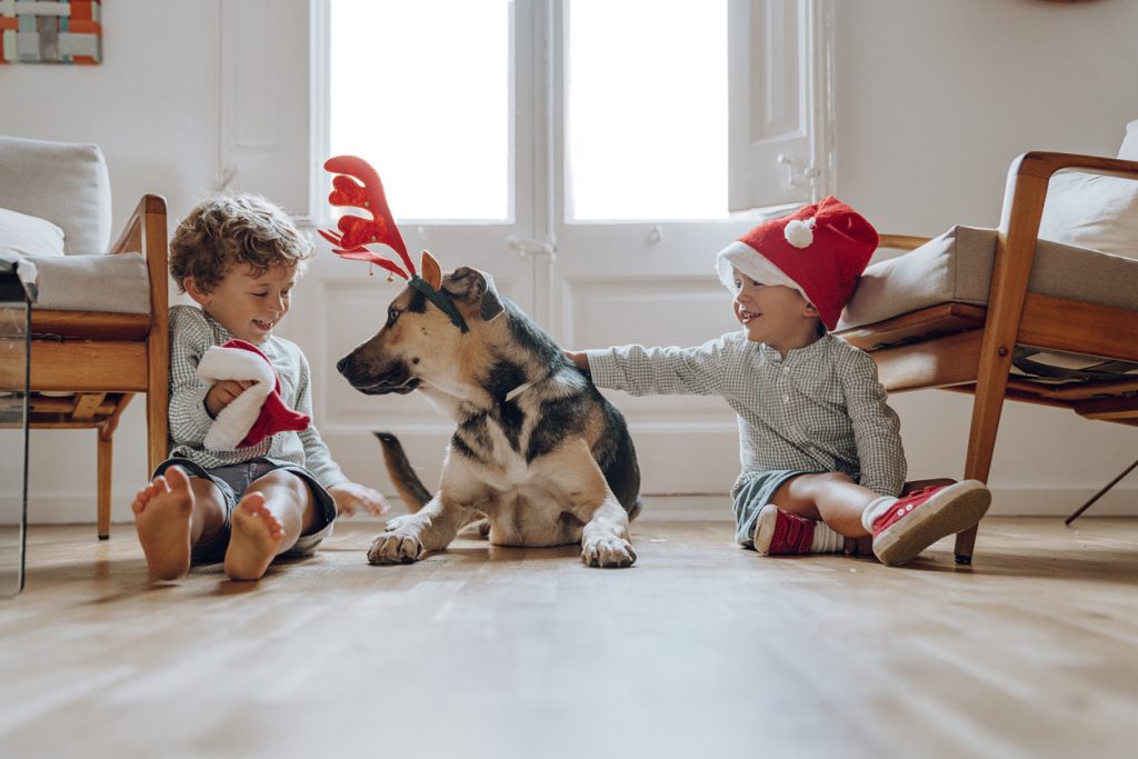 Two toddlers and a pet dog wearing holiday antlers and hats