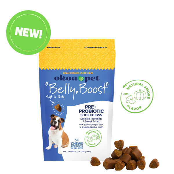 New Belly Boost Probiotic Image of Package