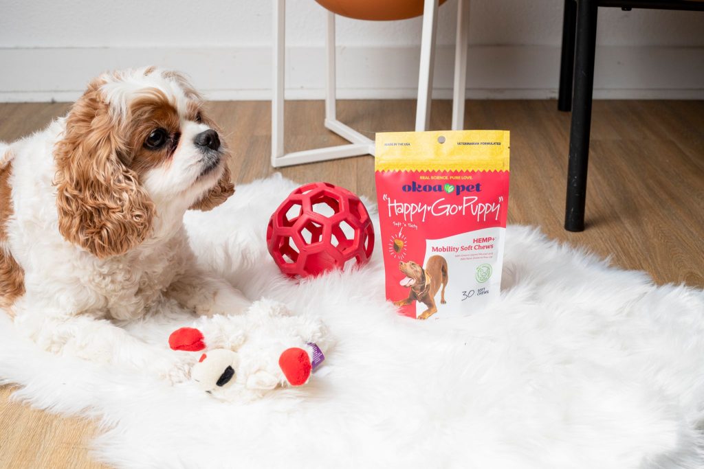 Cute dog with toys and happy go puppy CBD+ mobility chews for joint and hip health.